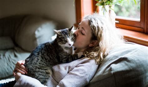 Is Cat Lady syndrome Real?