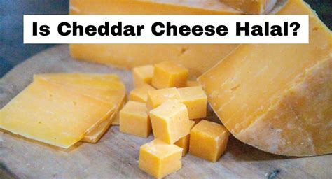 Is Cheddar Cheese is halal?