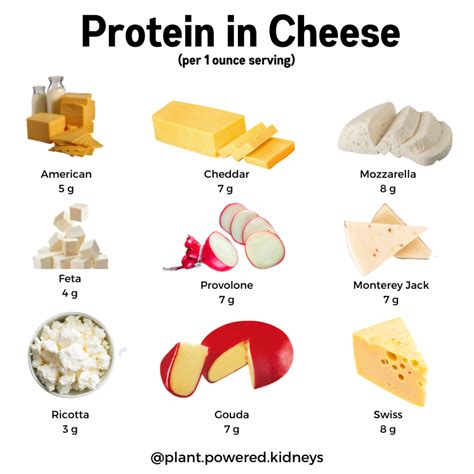 Is Cheese a fat or protein?