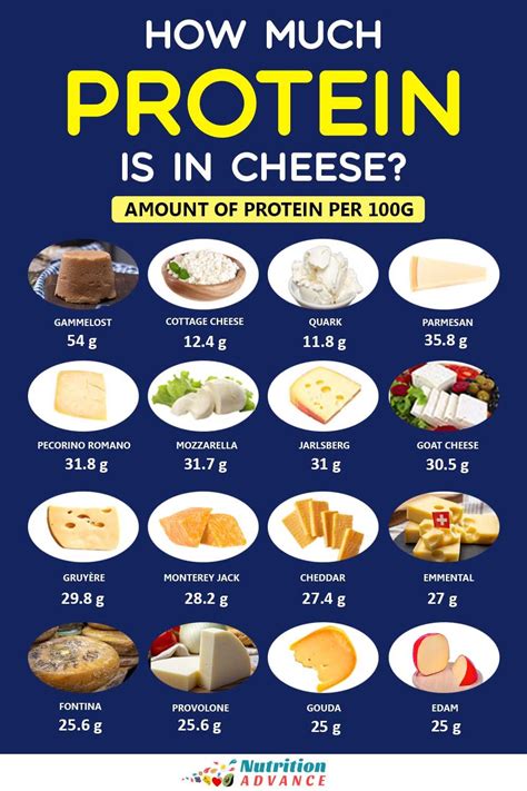 Is Cheese a fat or protein?