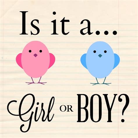 Is Cousin it a boy or a girl?