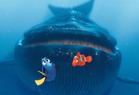 Is Dory A Whale?