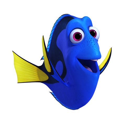 Is Dory a guy?