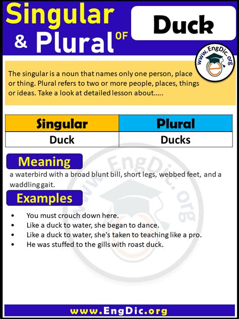 Is Duck plural?