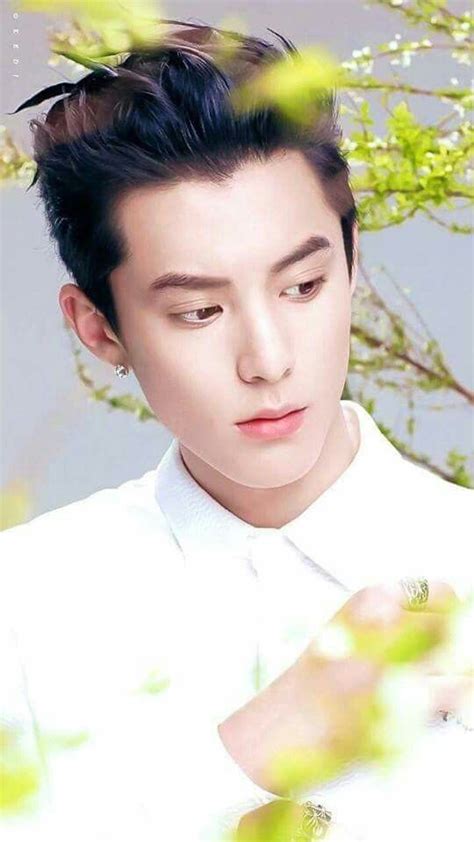 Is Dylan Wang in Boys Over Flowers?