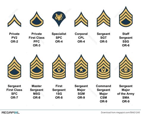 Is E 8 a high rank?