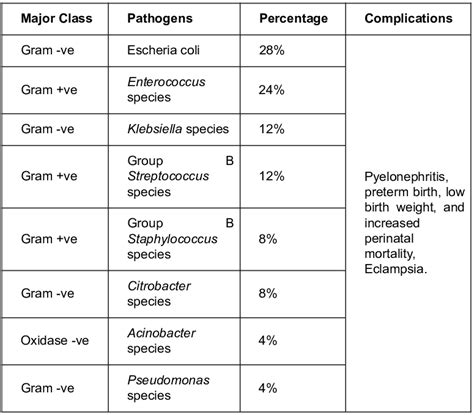 Is E coli resistant to many antibiotics?