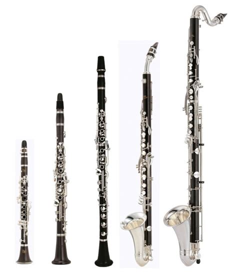 Is E flat clarinet common?