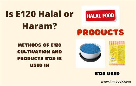 Is E120 halal or haram?