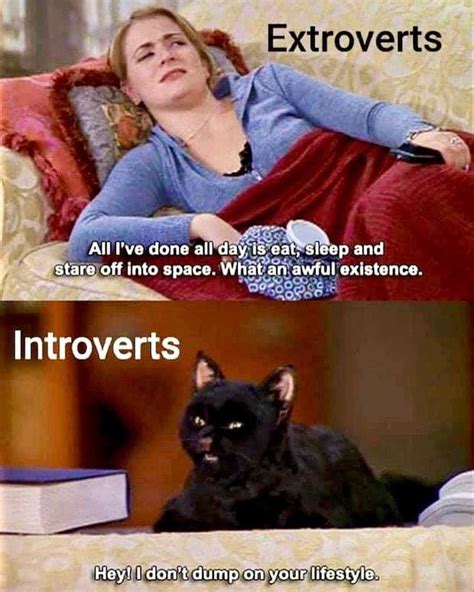 Is Ellen an introvert?