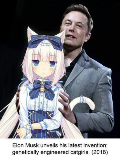 Is Elon Musk love anime?