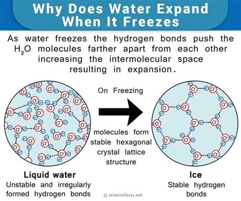 Is Frozen water heavier?