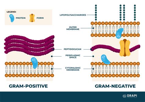 Is G positive or negative?