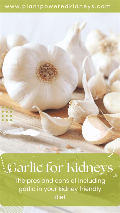 Is Garlic good for the kidneys?