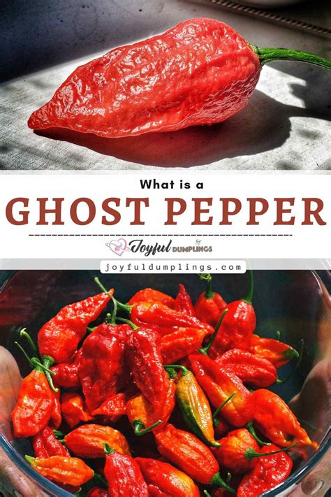 Is Ghost Pepper a fruit?
