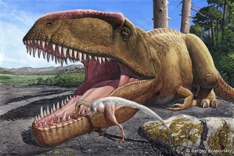 Is Giganotosaurus bigger than T. rex?