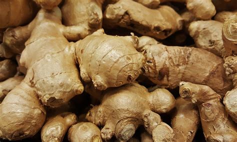 Is Ginger an antifungal?