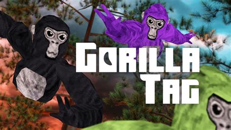 Is Gorilla tag free?