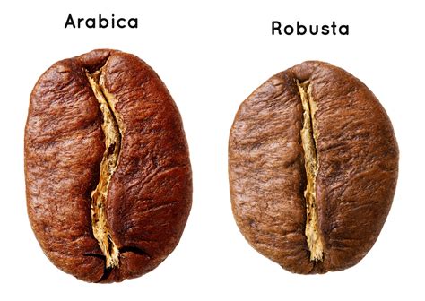 Is Greek coffee Arabica or Robusta?