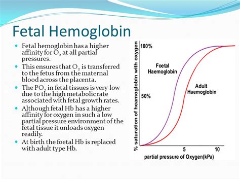 Is HB the same as F?