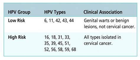 Is HPV 6 7 high risk?