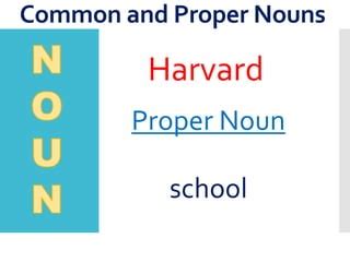 Is Harvard University a proper noun?