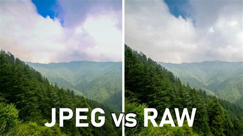 Is IMG a raw file?