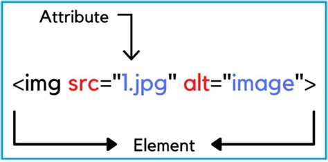 Is IMG an element or attribute?