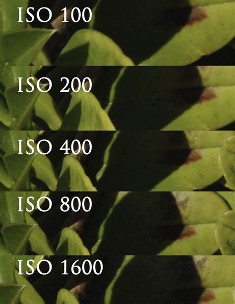 Is ISO 200 or 400 better?