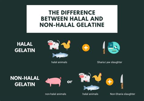 Is Jellyfish halal or haram?