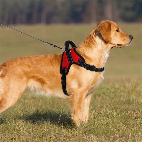 Is K9 harness good?