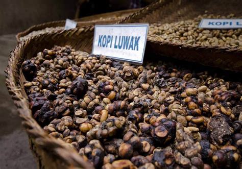 Is Kopi Luwak coffee worth the price?