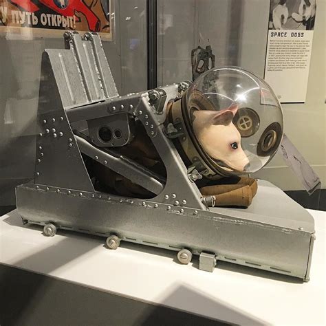Is Laika in a museum?