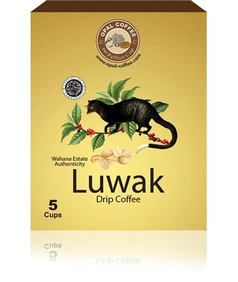 Is Luwak coffee high in caffeine?