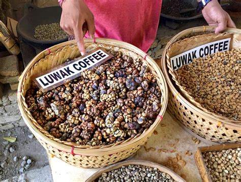 Is Luwak coffee tasty?