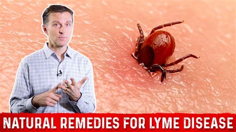 Is Lyme's disease Curable?