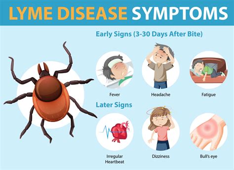 Is Lyme's disease permanent?