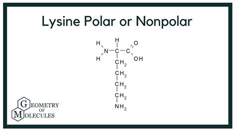 Is Lysine polar or non-polar?