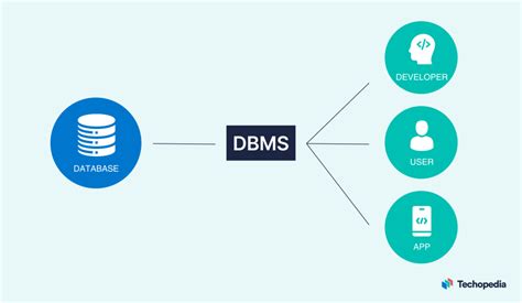 Is Microsoft Office a DBMS?