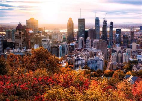 Is Montreal a city or capital?