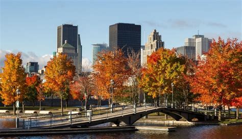 Is Montreal the largest French speaking city?
