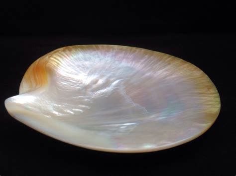 Is Mother of Pearl rare?