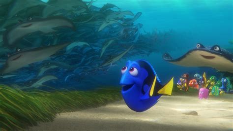 Is Nemo better than Dory?