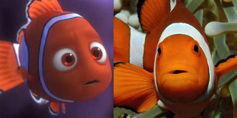 Is Nemo real in Finding Nemo?