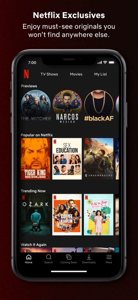 Is Netflix paid on Iphone?