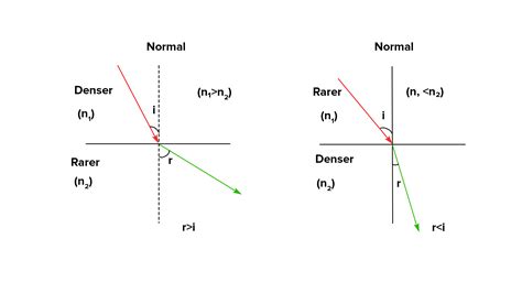 Is O+ or O rarer?