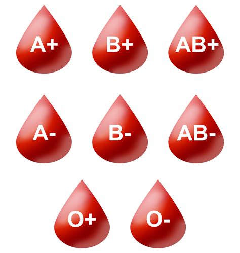 Is O blood the oldest?