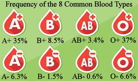 Is O blood type rare?