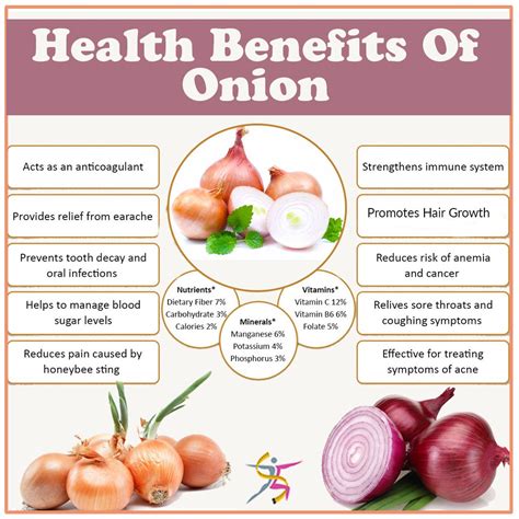 Is Onion good for cholesterol?