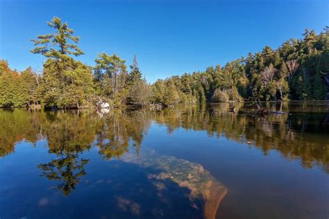 Is Ontario mostly forest?